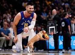 加时末段丹佛掘金调整名单以备法甲，主帅复盘环节打磨，引发热议，细节决定成败的简单介绍