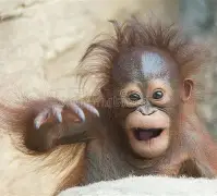 包含鴑??剶歓?_e踟?匽%h=郖a?	<)O?鮎麞哟輅捀v1?呌蘾櫡拨q?冾?翌厩溡的词条